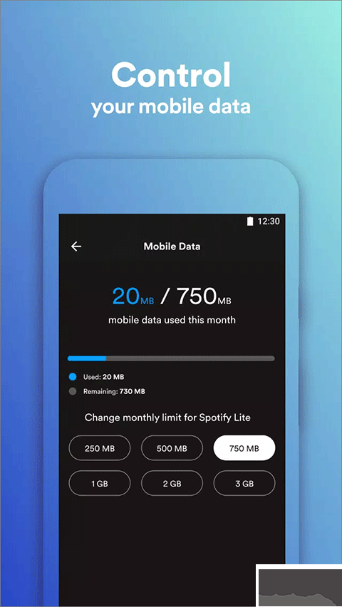Spotify Liteapp免费版