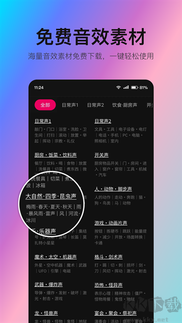 音编美声