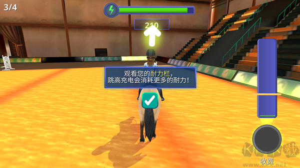 马场故事(HorseRidingTales)