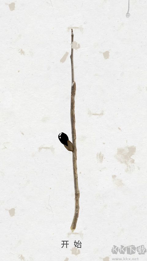 绽放之歌