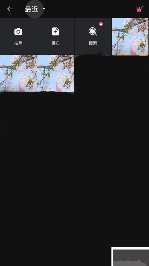 专业照片编辑器