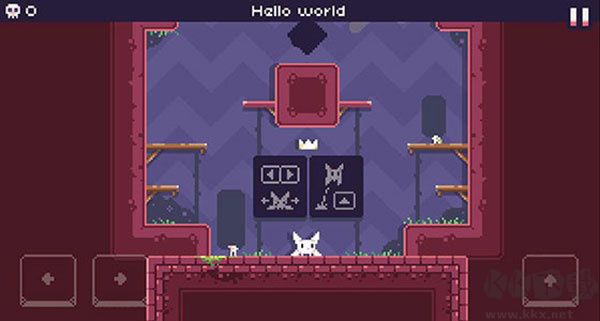 飞天萌猫