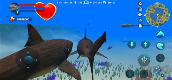 Megalodon Simulator