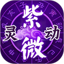 灵动紫微免费版安装