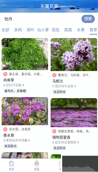 东篱花草