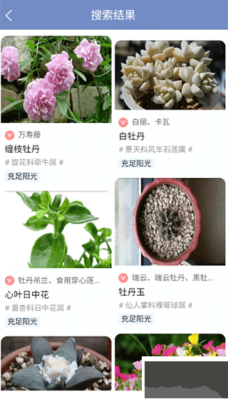 东篱花草