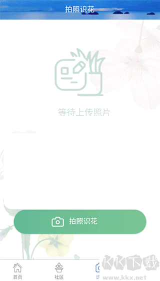 东篱花草