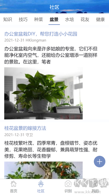 东篱花草