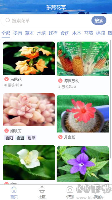 东篱花草