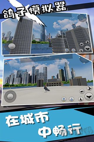 鸽子模拟器