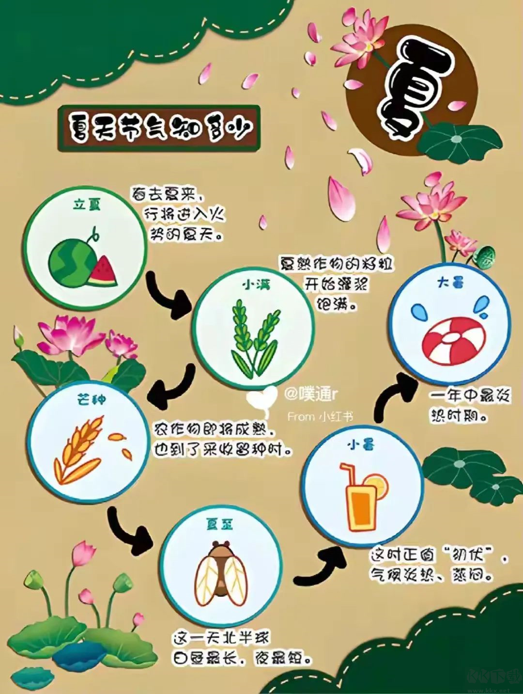 二十四节气日历