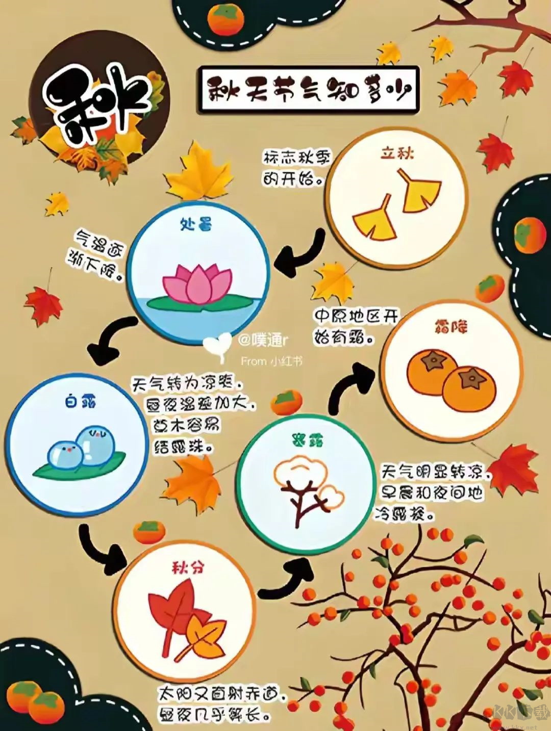 二十四节气日历