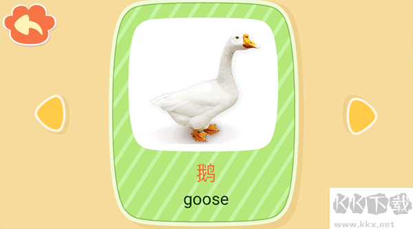 亲亲熊识字