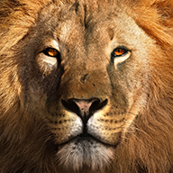 多人游猎v25.8.1正式版