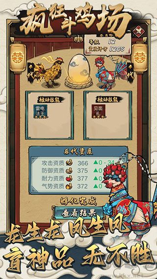 疯狂的斗鸡场