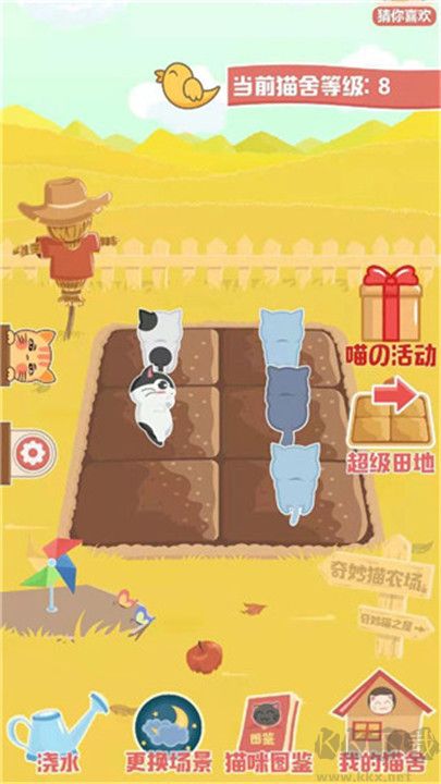 奇妙猫之家