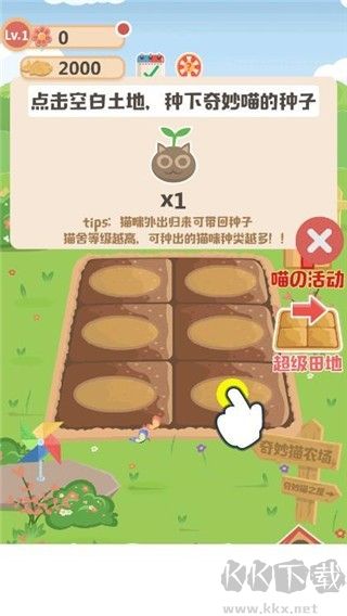 奇妙猫之家