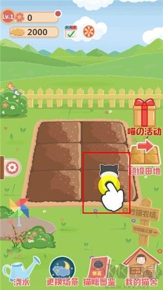 奇妙猫之家