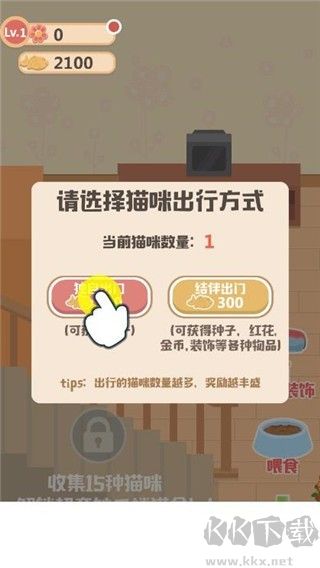 奇妙猫之家
