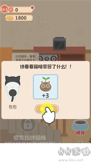 奇妙猫之家