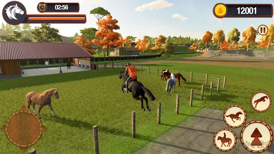 虚拟马族模拟器(Virtual Horse Riding Simulator)