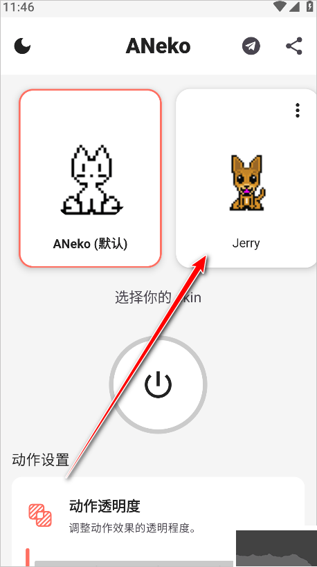 ANeko
