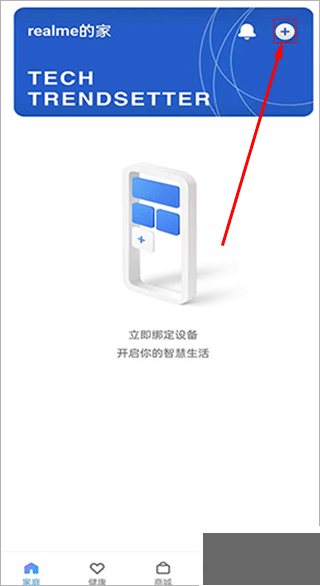 realme link