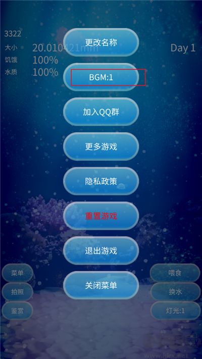 养育水母的治愈游戏