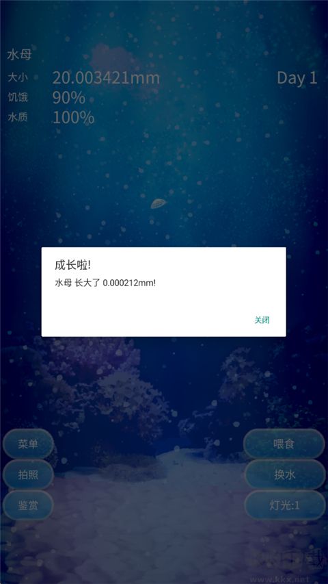 养育水母的治愈游戏