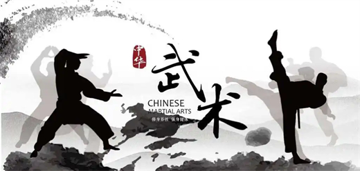 武术教学app合集-武术学习软件-实用的软件合集