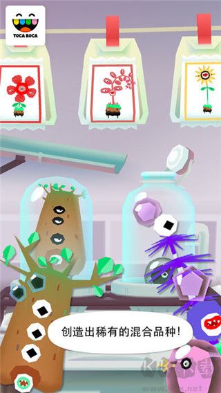 托卡实验室植物