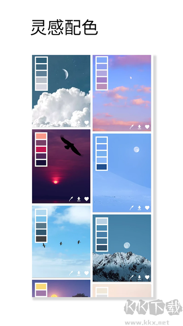 观色配色app安卓版