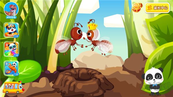 宝宝认蚂蚁