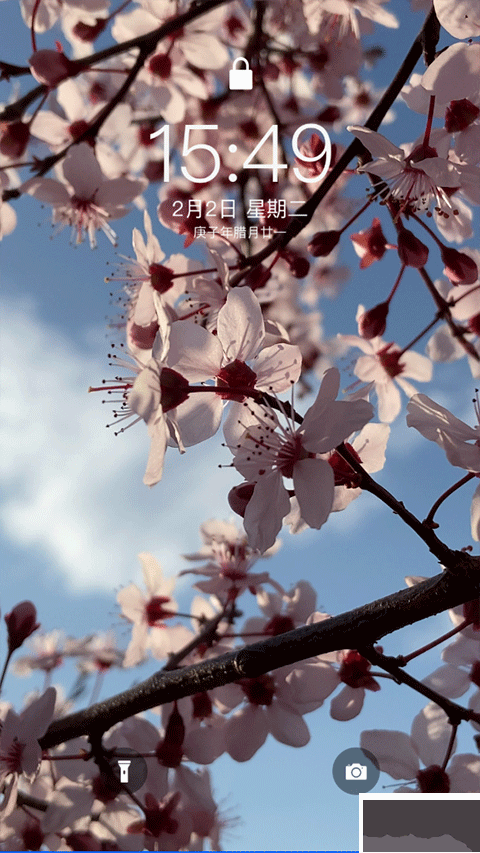 主题库