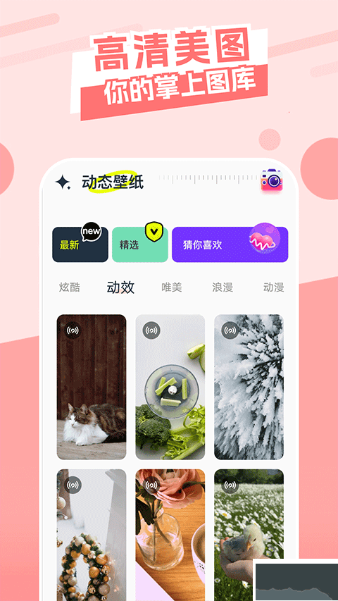 主题库