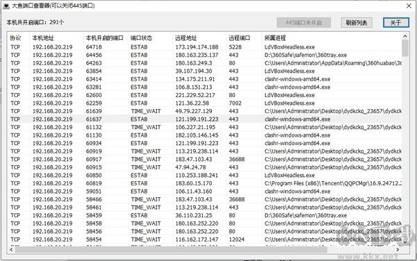 大鱼端口查看器