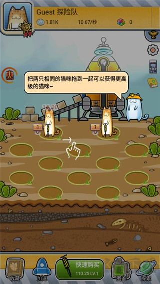 懒洋洋的宝藏猫