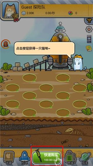 懒洋洋的宝藏猫