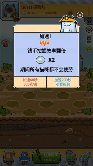 懒洋洋的宝藏猫