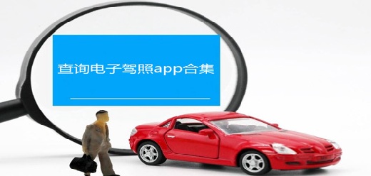 电子驾驶证查询软件大全-电子版驾驶证-查询电子驾照的app推荐