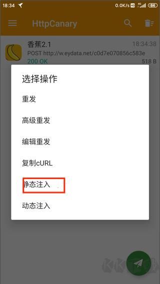 Reqable小鸟抓包