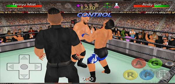 摔跤革命3d(Wrestling Revolution 3D)