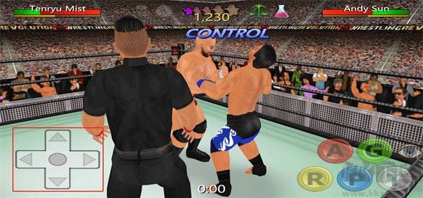 摔跤革命3d(Wrestling Revolution 3D)