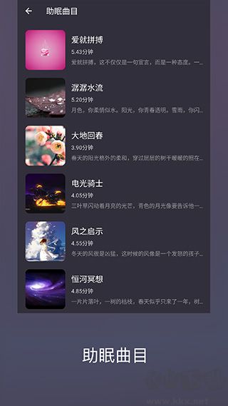 葵花睡眠