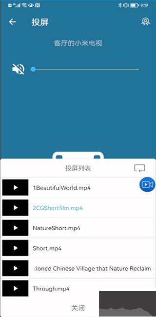TV投屏助手