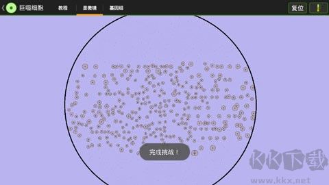 细胞实验室
