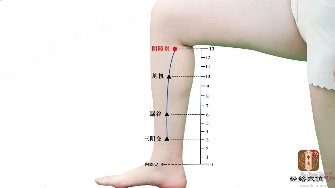 知源经络穴位