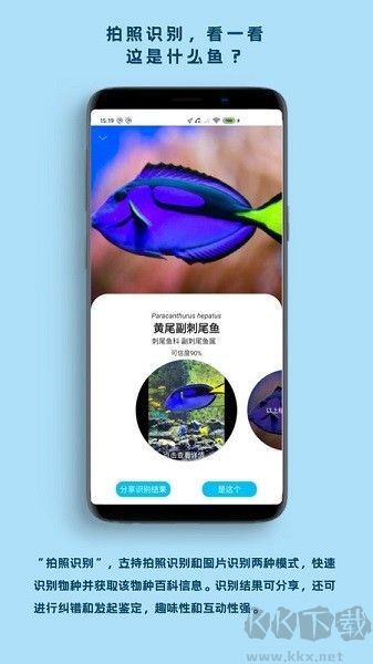 看鱼app