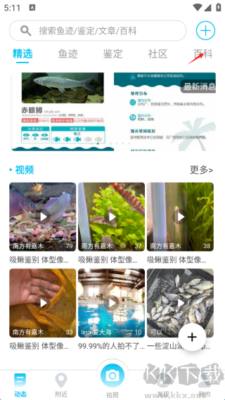 看鱼app