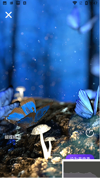 手机彩铃